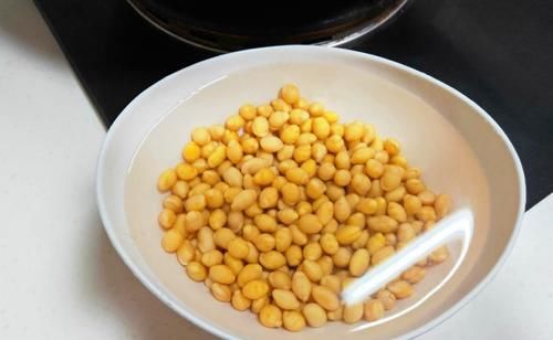 喜欢养绿植就多备些“黄豆水”，居家自制，不用多花钱、效果好