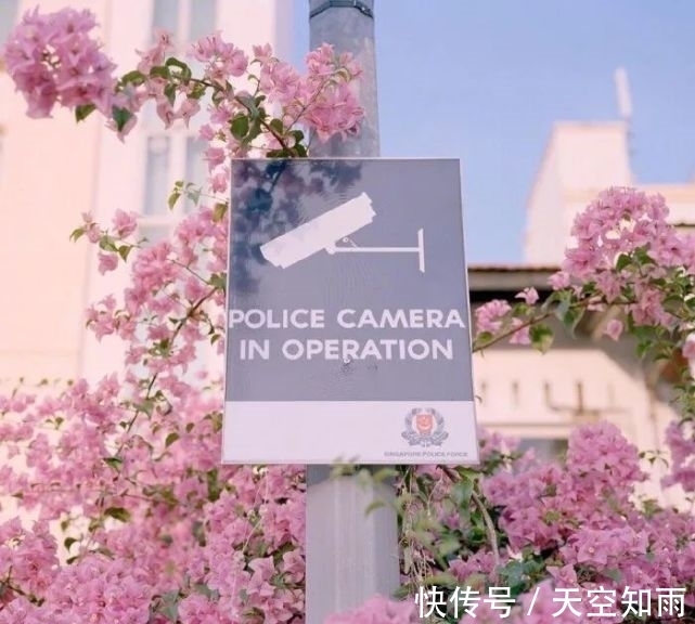 nguan&文案:看到就想收藏的句子