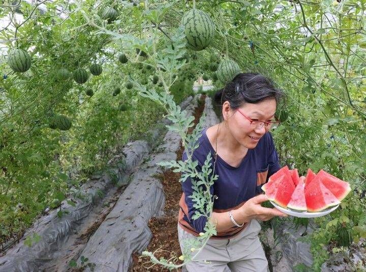 夏天|夏天少不了“吃瓜”的诱惑，西瓜还有这个妙用？