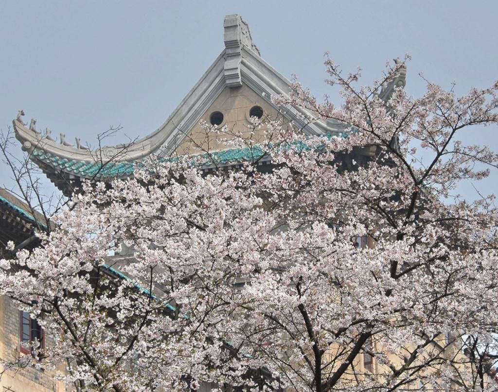 西北工业|因地域原因被“低估”的985大学，很低的录取分，超高的性价比