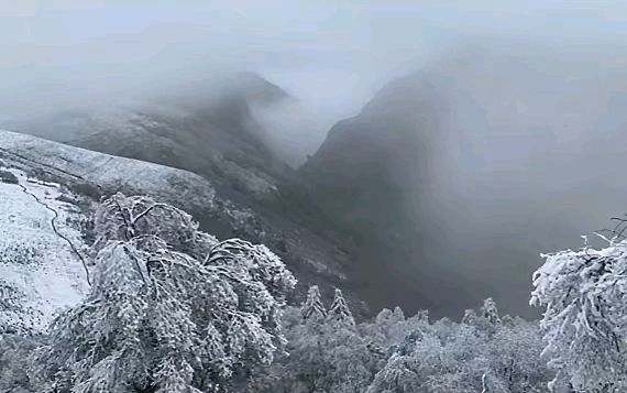 春夏秋冬|蔚县茶山的第一场秋雪