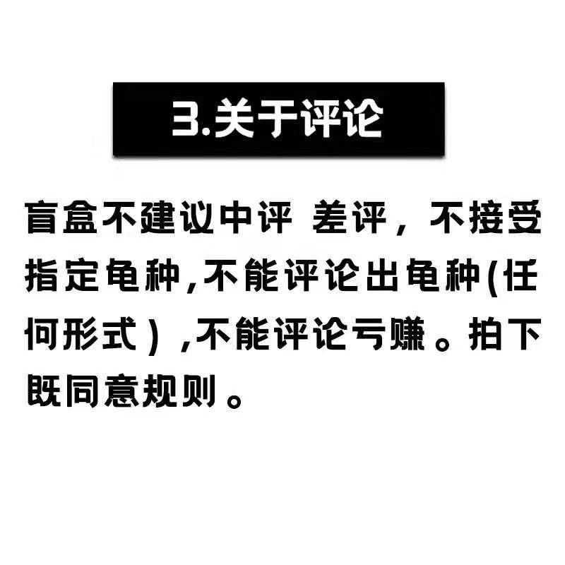 网售活体乌龟“盲盒”大热之下存隐忧 活体动物运输如何保证规范检测？