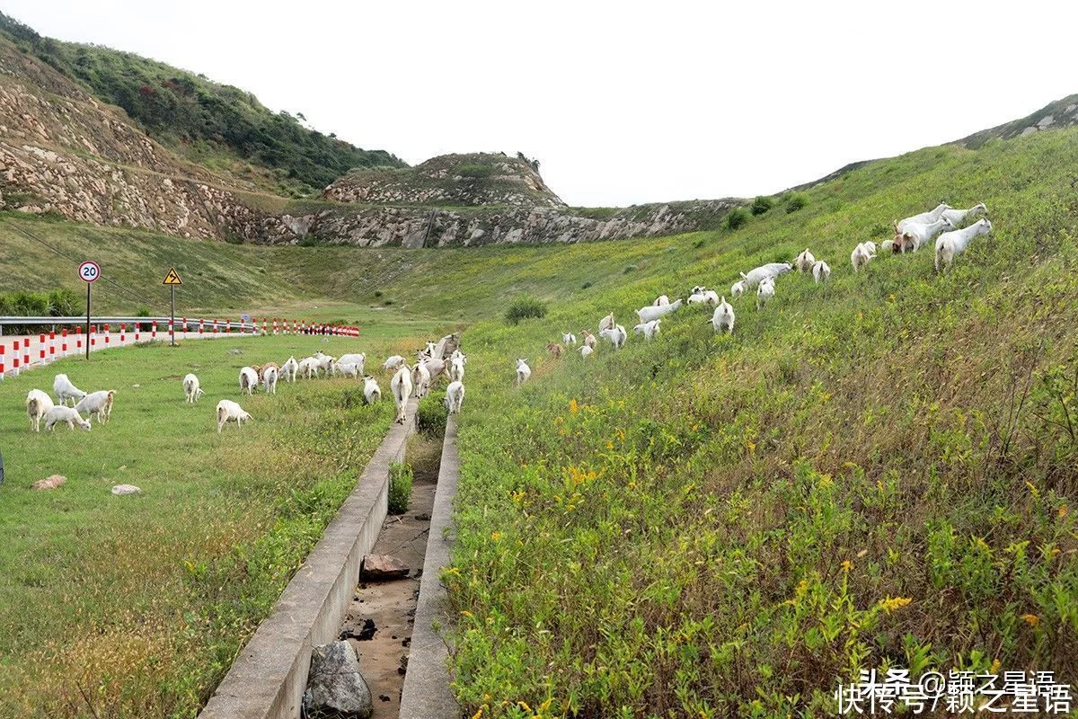 天下风物——《道人山、饭桶山，变成了露营山，来看看收费高不高？》风光题照