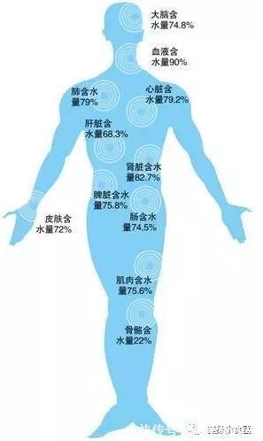 饮水|容易被忽视的,最简单的增肌减脂技巧多喝水