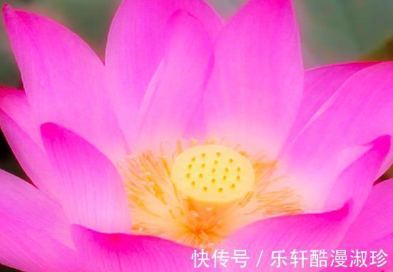 财星|9月份开始,喜事临门,4属相时来运转,财星高照,大吉大利