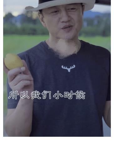 豪宅|李亚鹏又晒下厨视频,被冻结7千万后,49岁在豪宅院子种菜