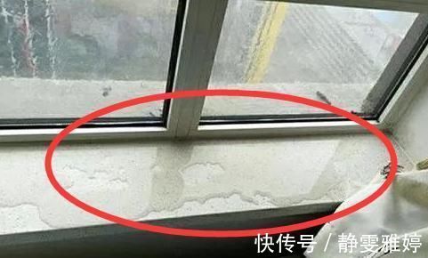 洗碗机|装修完搬进新家三天三夜睡不着！这12个装修坑让人疲惫，白糟蹋钱