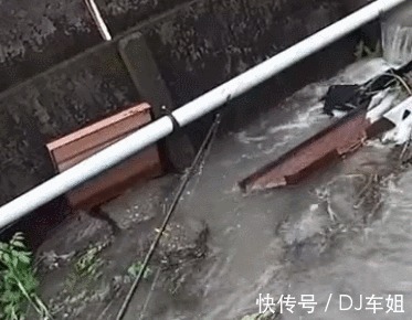 河边角落杂草处有大鱼,不想下去抓,鱼饵一扔就钓获大鱼,真幸运