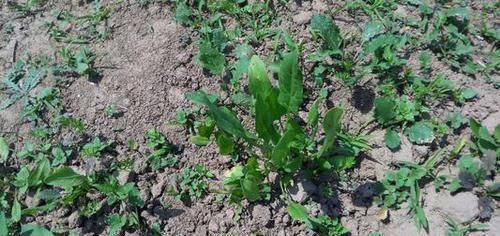 双亲|出生在几点钟的孩子，受到长辈疼爱，长大后出人头地，反哺双亲