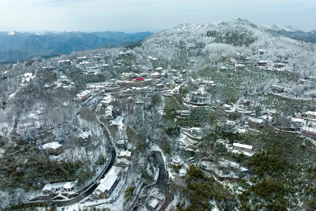 风景|【风景浙独好】宛如童话世界湖州德清莫干山雪后盛颜