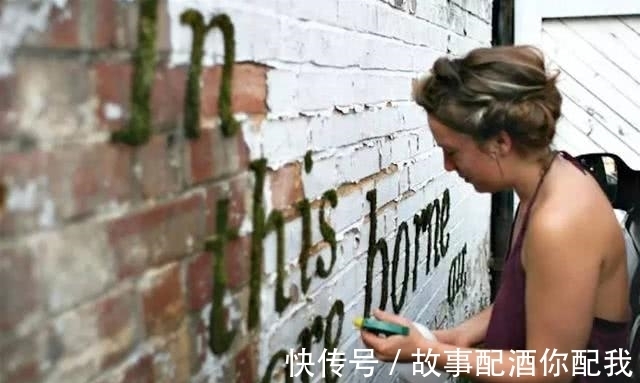 在乎你&他用酸奶、啤酒、苔藓把动物养在墙上,14天后的画面让人惊讶