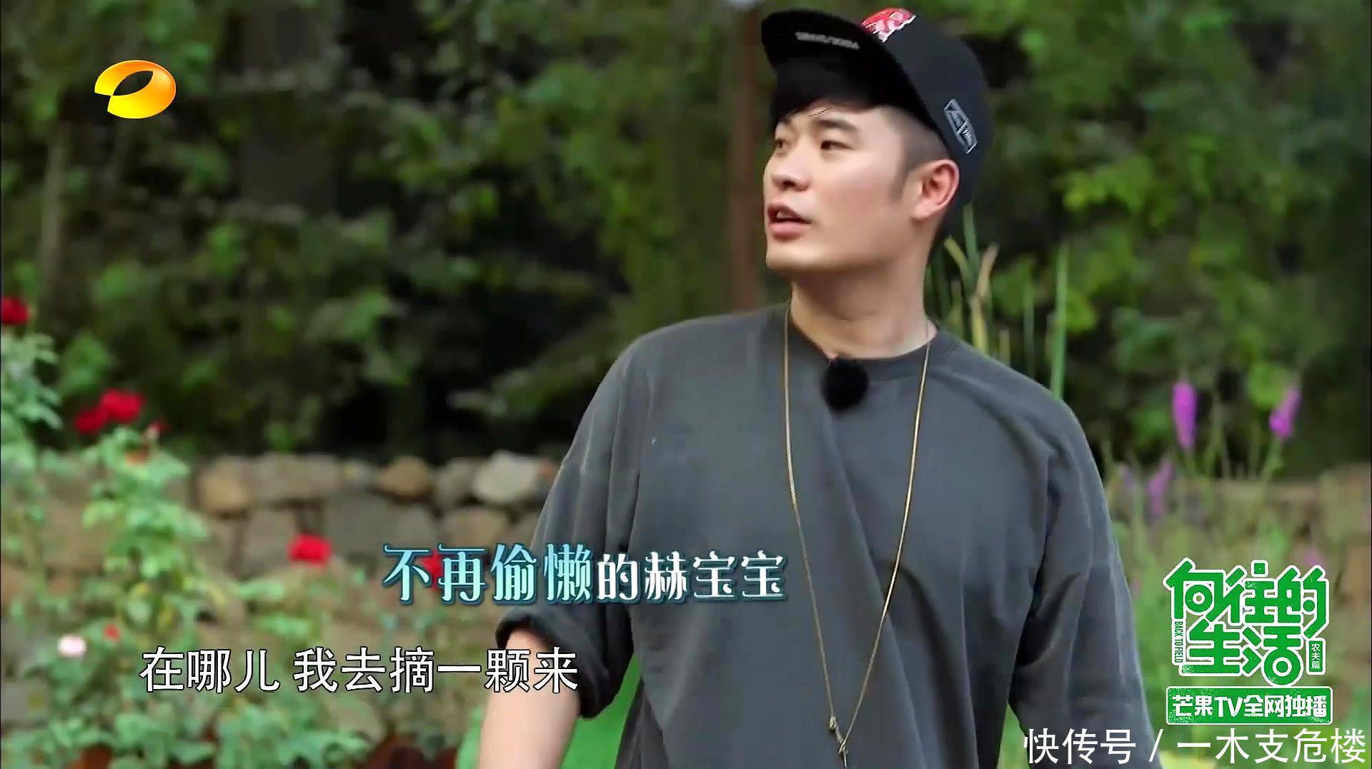 岳云鹏|偷懒油腻又世故,明知不正确还要尬笑,李诞和陈赫是拿错剧本了?