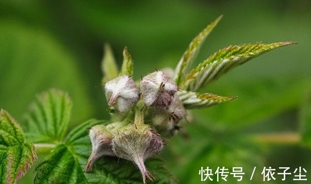 生肖|4天后，旧爱缠绵，旧爱难忘，三大生肖财旺福旺，缔结良缘