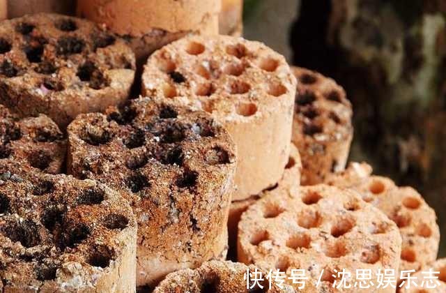 盆地|这几种东西垫盆地,土壤疏松透气,再也不烂根