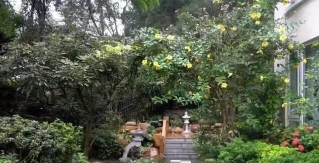  房子|40款不同格调庭院,适合乡村有房子的你,亲近自然的宜人环境