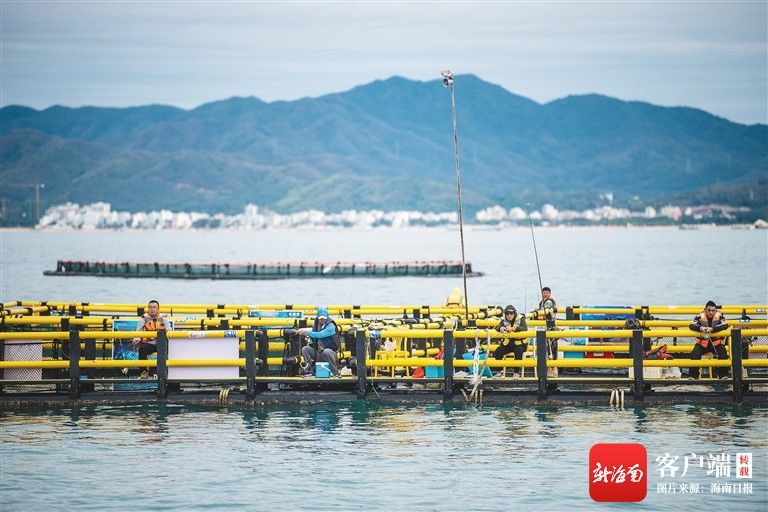 网箱|海南探索加快发展休闲渔业 游艇观光、海钓、网箱垂钓等新业态兴起