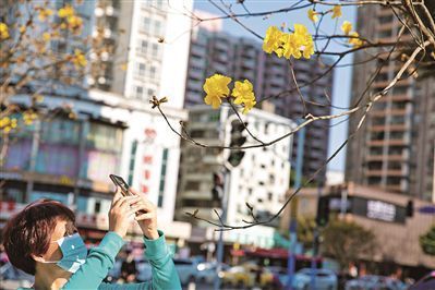 广州江南大道流光溢彩