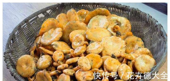 金针菇|宁可十天不吃肉，不可一日不食菌！8道菌类菜肴，荤素都有，收藏