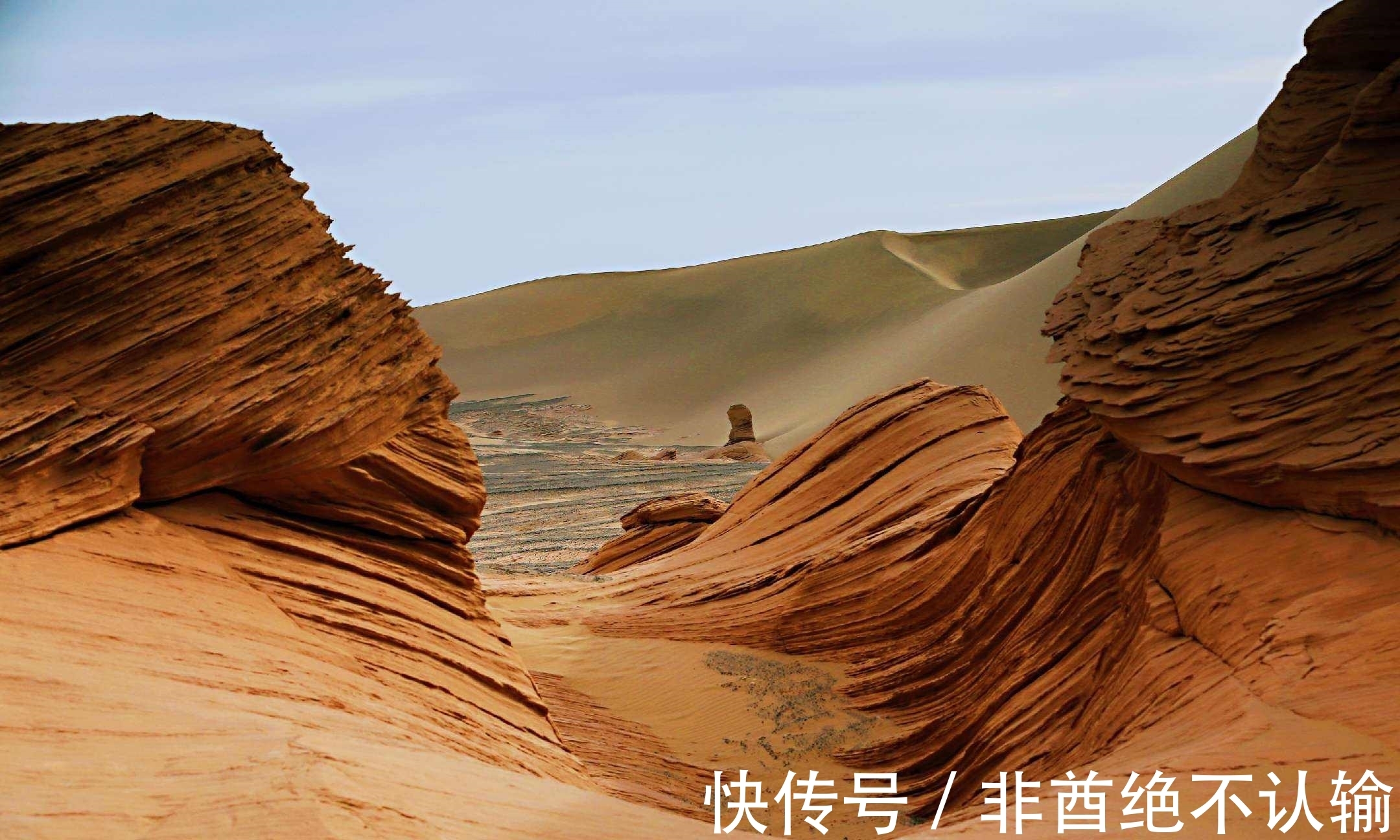 新沐!万物皆可写成诗,七绝50首,一次让你看个够