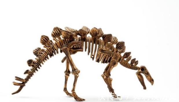 反弹|晚上空腹跑步60天,减掉28斤,他却后悔不已!减肥真相往往反常识