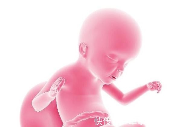 发育|怀孕后,核桃是早上吃好还是晚上吃好?看完后你就知道了!