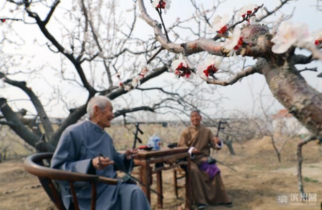 清明时节，不负春光！来滨州踏青赏花吧！