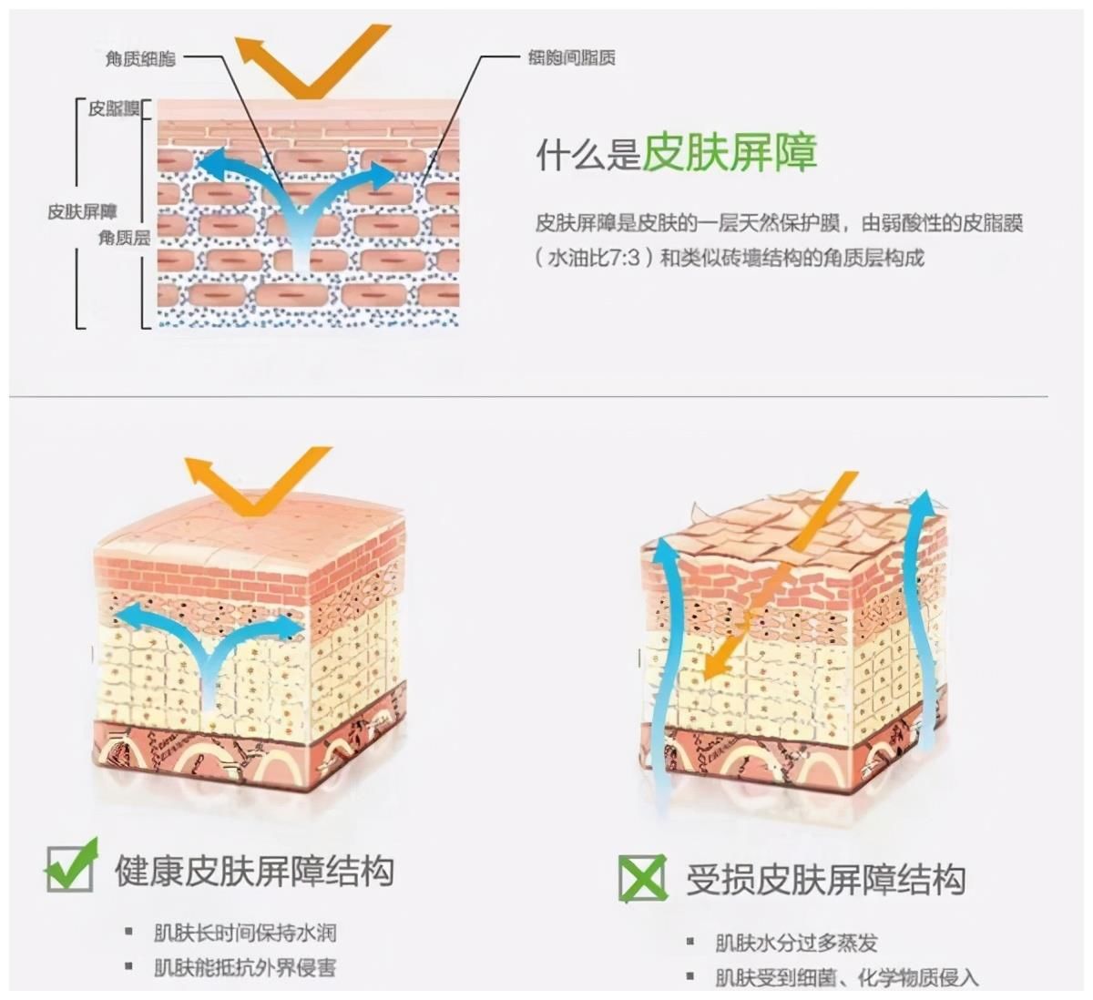 你真的懂刷酸吗？刷酸都有哪些好处？