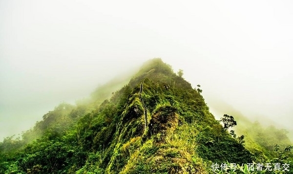 夏威夷天堂阶梯共3922阶 封闭近30年还有人上!