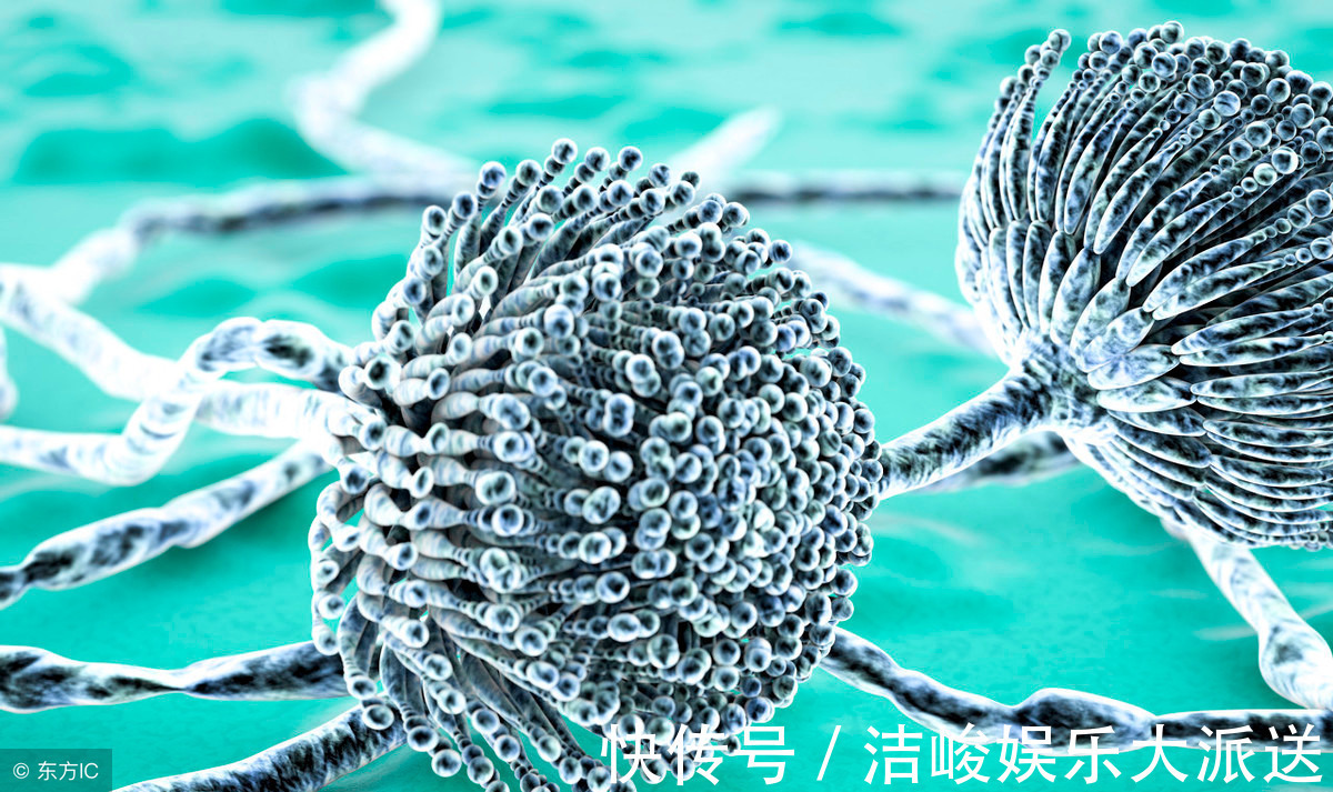 黄曲霉毒素|藏在家里的“一级致癌物”，为了家人的健康，及时扔掉为好