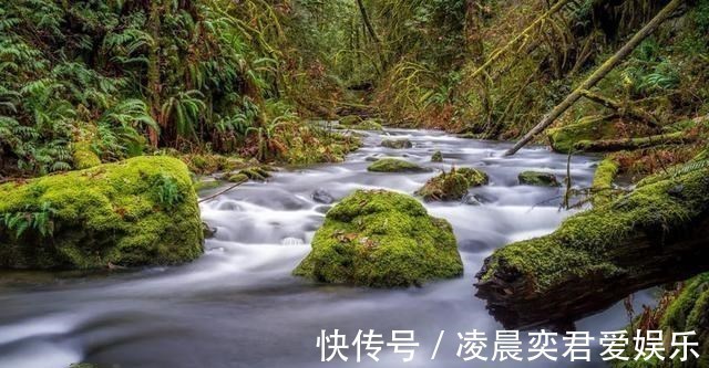 智谋|富有智谋，未雨绸缪的星座，淡定从容，不慌不乱，一切尽在掌握