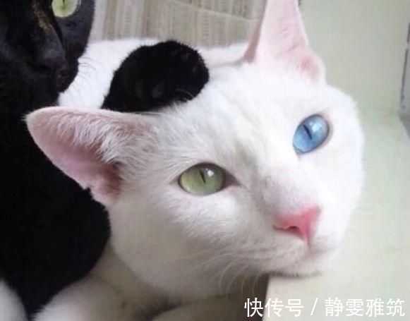 行为|女孩刚睡醒时,只要经常坚持这3行为,瘦身效果看得见,轻松逆袭女神