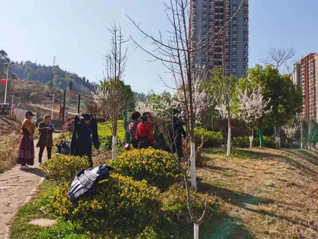 太平新城赏花地图新鲜来袭，一起看这“花花世界”