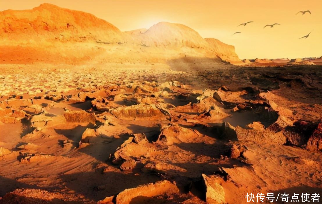 生命 终于找到地外生命了？科学家：大量“蘑菇”从火星土壤中冒出