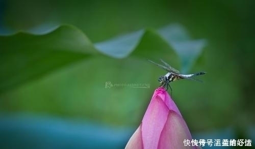 吉星|孩子出生在几点钟,命好最有出息,孝顺父母,个个天资聪颖