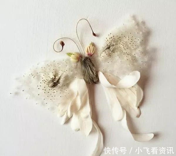 何方|趣味测试你喜欢哪个花草拼成的动物,测你近期感情运势走向何方