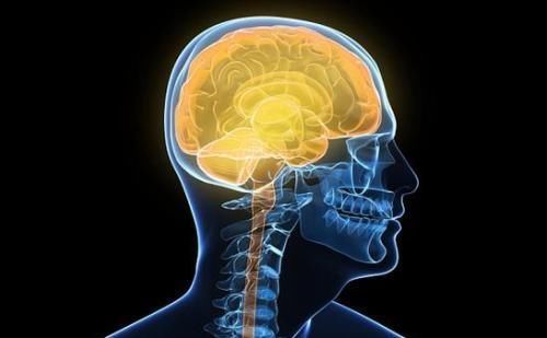 头部|脑供血不足,头部会出现5个信号,一个不占,证明血管很畅通