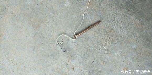 鱼钩|没想到还能这样钓鱼,一看就是个高手
