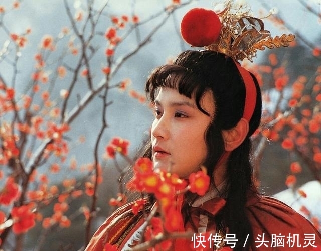 绛珠仙草|红楼梦中林黛玉的病,为什么一直治不好?秘密在薛宝钗的冷香丸里