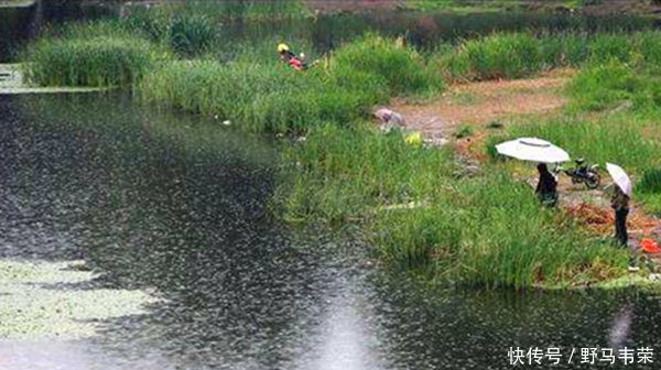 水面|小暑过后钓鱼,5钓5不钓,常用这些老套路,上鱼更多