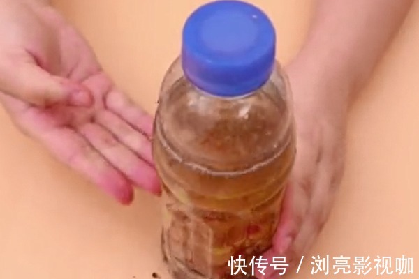 变废为宝|烂掉的桃子一个也别扔，其实它还是个“宝”，放家里特别“值钱”