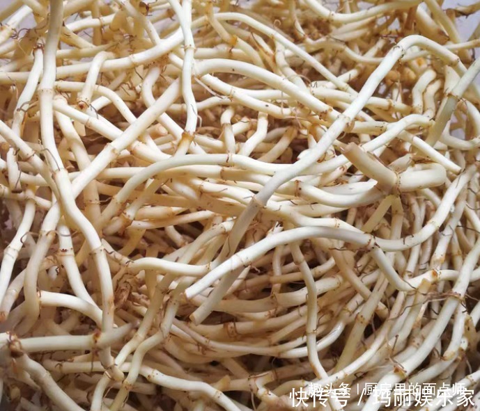 折耳根炒腊|天冷多吃这菜,每天炒一盘,刮油又瘦身,嘴巴不臭了,提高免疫力