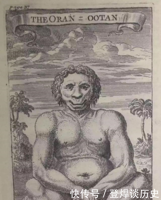 敌人|猎头族极其信赖的砍头斧,形制古怪特殊,但只需一击就能斩下人头