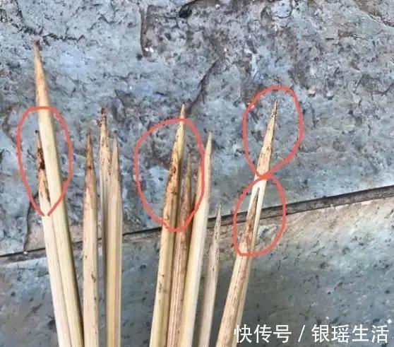 养花30年老花匠的5个“小秘方”赶紧学起来再也不怕养花出问题了