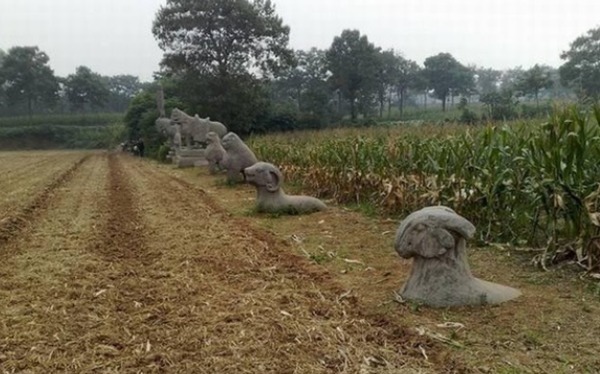 如今|最悲催的皇陵,门票免费无人去,连专家都嫌弃,如今沦为庄稼地!