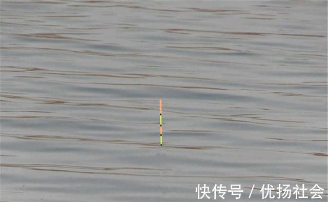 本质|调漂的本质是找底,如何判断是否到底?是钓组什么部位到底?