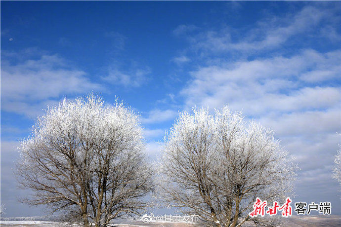 通渭县|雪后的通渭县华家岭美成了童话世界