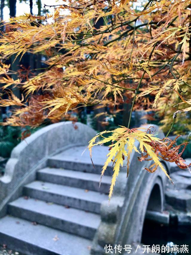 礼节|越原始,越深刻 – 重新理解汉字本义 │ “实”事求是