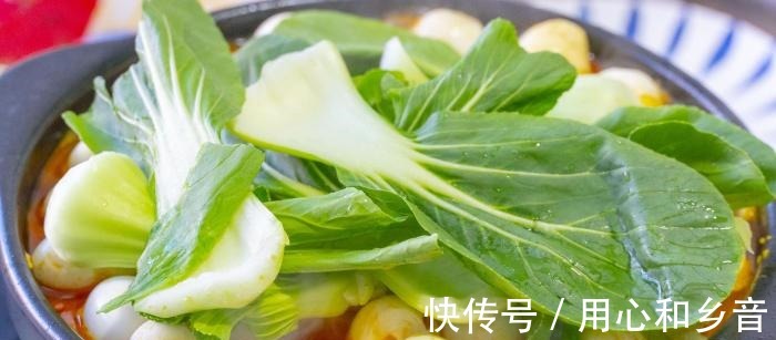 鹌鹑蛋被称“动物中的人参”,要做给孩子吃,教你最营养简单做法!