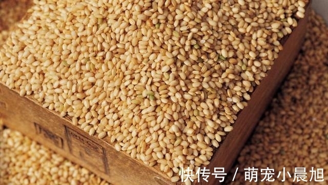 米饭|有4种主食,热量低,脂肪低,代替馒头米饭,难怪怎么吃也不胖