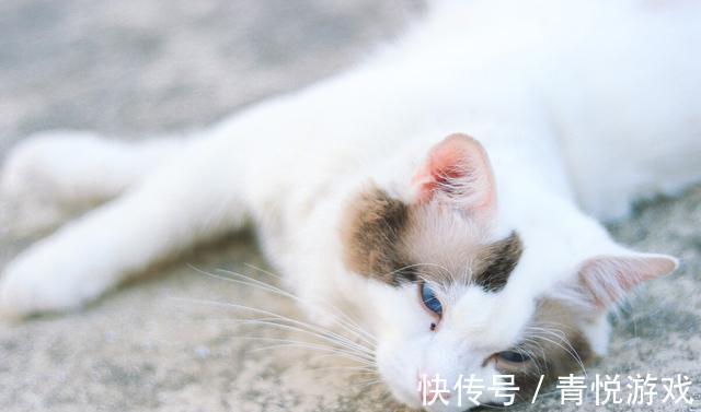 宝妈|“等闲下来我就减肥”说这话的男男女女们,你们都瘦下来了吗?